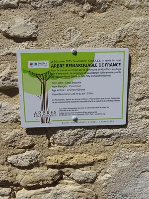 If remarquable de Silly-en-Gouffern
