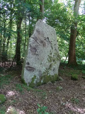 Menhir de la Pierre levée à Silly-en-Gouffern
