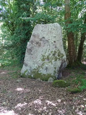 Menhir de la Pierre levée à Silly-en-Gouffern