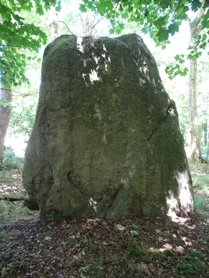 Menhir de la Pierre levée à Silly-en-Gouffern