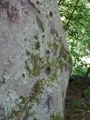 Menhir de la Pierre levée à Silly-en-Gouffern