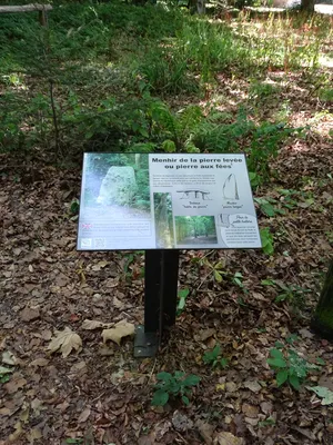 Menhir de la Pierre levée à Silly-en-Gouffern