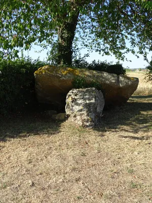 Dolmen de la Pierre levée à Fontaine-les-Bassets