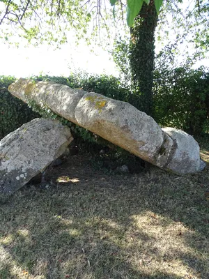 Dolmen de la Pierre levée à Fontaine-les-Bassets