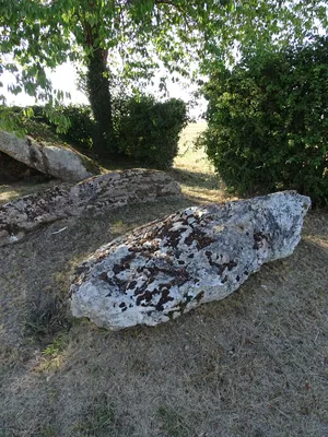Dolmen de la Pierre levée à Fontaine-les-Bassets