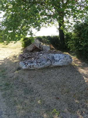 Dolmen de la Pierre levée à Fontaine-les-Bassets