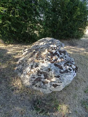 Dolmen de la Pierre levée à Fontaine-les-Bassets