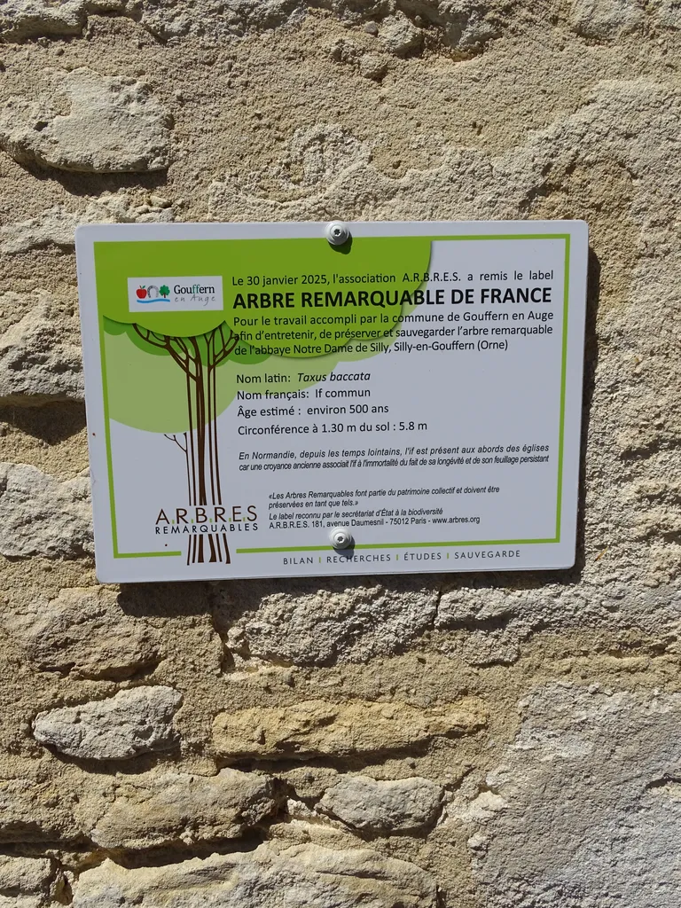 If remarquable de Silly-en-Gouffern