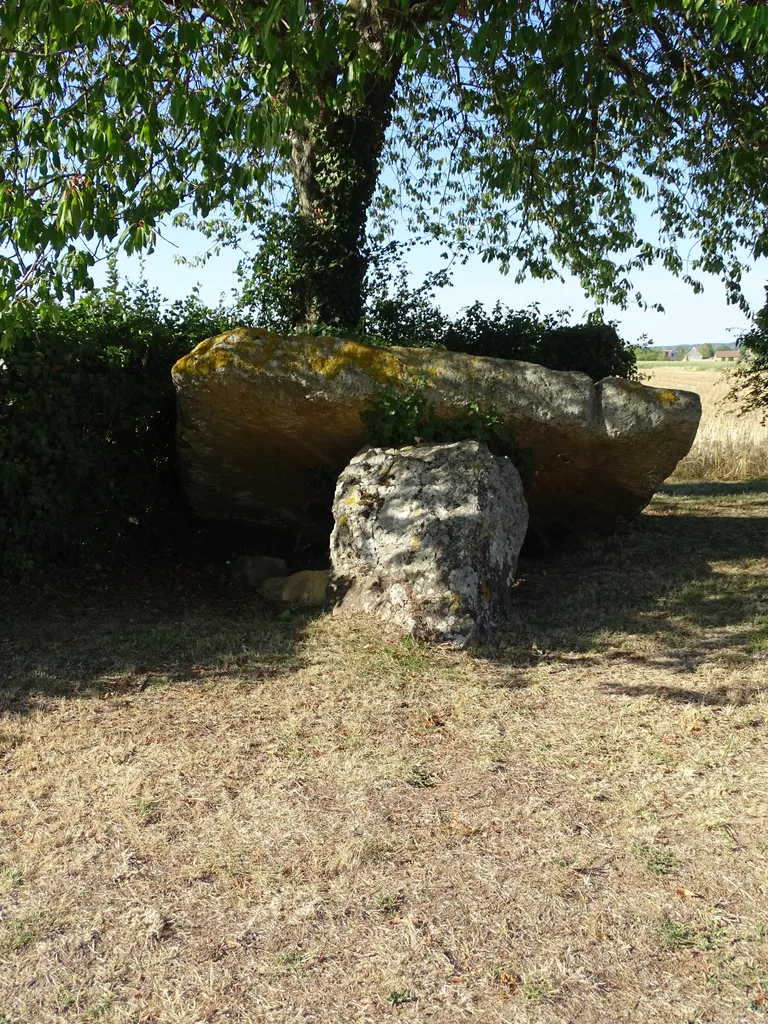 Dolmen de la Pierre levée à Fontaine-les-Bassets