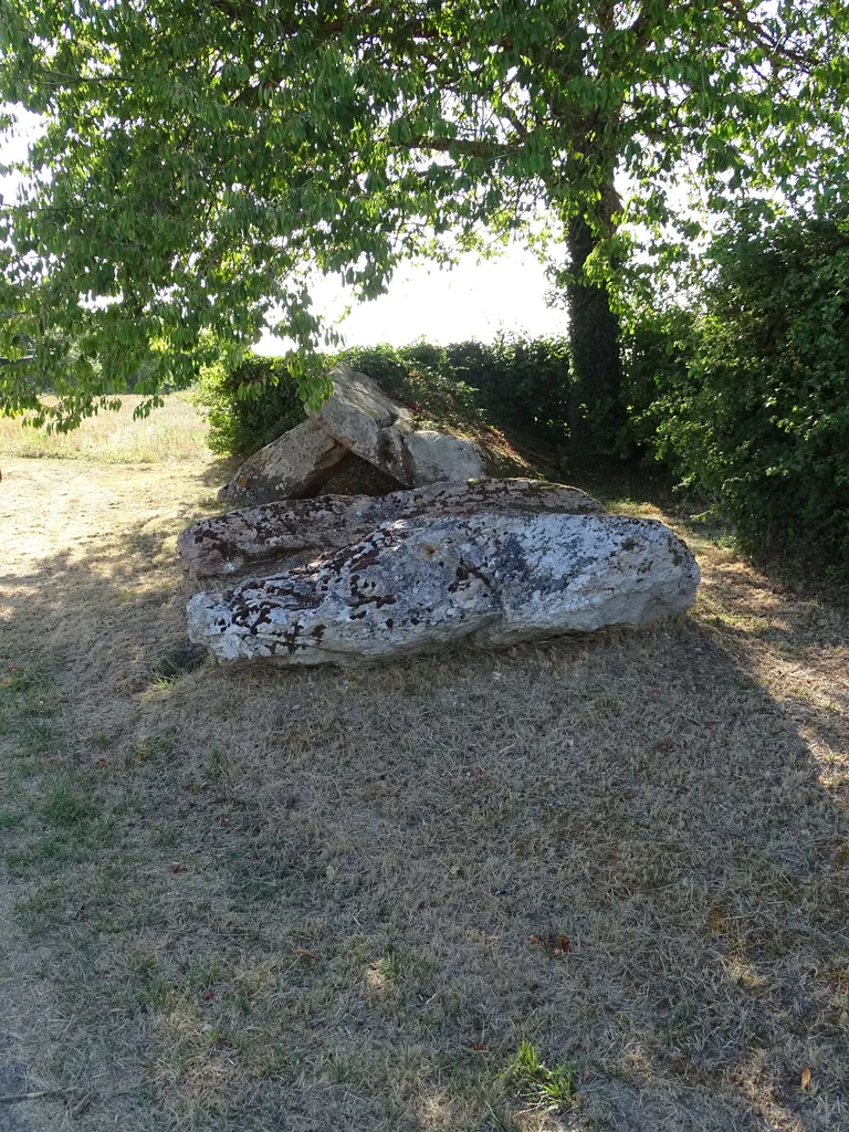 Dolmen de la Pierre levée à Fontaine-les-Bassets